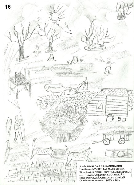 16_Grigore-Cristian TOMOIAGA_Moisei.jpg